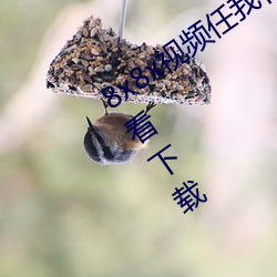 8x8x视(sh��)频任我行海外华人永久视频免费看下载