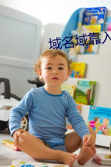 域名域(yù)靠入口