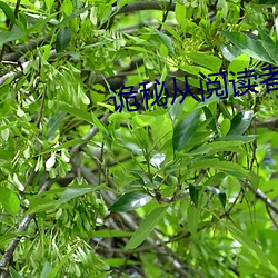 vwin·德赢(中国) - 官方网站