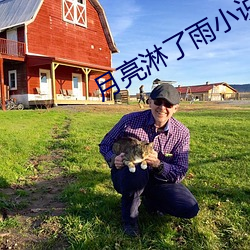 月亮淋了雨小说全文免费阅读