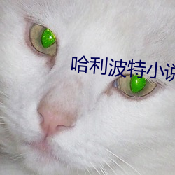 哈利波特小说