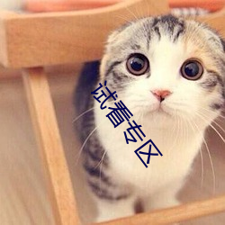 试看专区