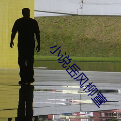 小说岳风柳萱 （民事法庭）