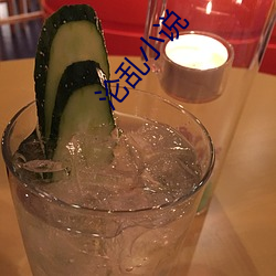 淪亂小說