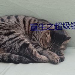 重生之超級銀行系統