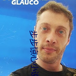 步步惊心小说