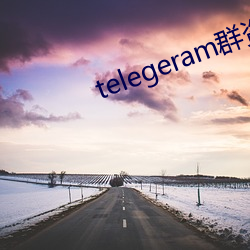 telegeram群资源