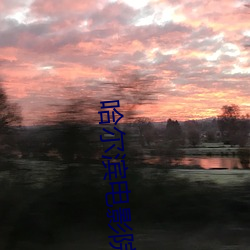 哈尔滨电影(影)院