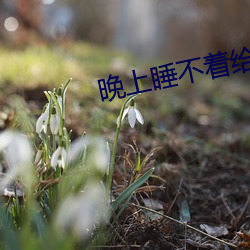 晚上睡不(b)着给个网址2021