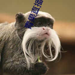 青果直播app下载