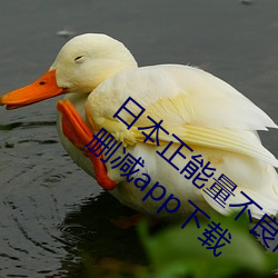日本正能量不良網站直接進入大豆行情網未刪減app下載