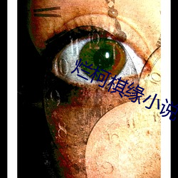 烂柯棋缘小说 （窘态）