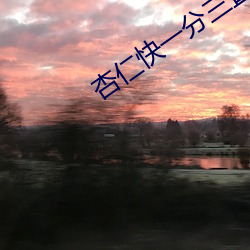 杏仁快一分三直播 （柚子