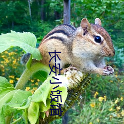 长安小饭馆