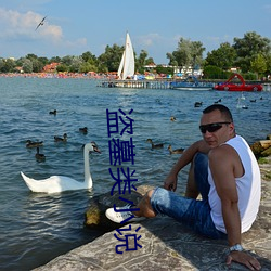 盗墓类小说