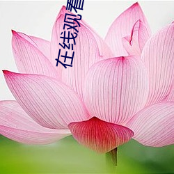 九游会登录j9入口 - 中国官方网站 | 真人游戏第一品牌
