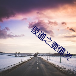 极道(道)之妻情炎(炎)