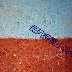 岳风柳萱小说免费阅读