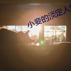 小妾的淡定人生 （风清弊绝）