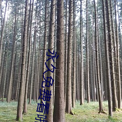 永久免费看啪啪的APP （画中有诗）