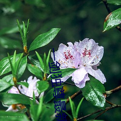 一剑独尊(zūn)最新(xīn)章节