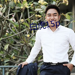 白虎15p