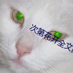 次第花开(ki)全文阅(yuè)读