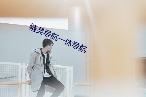 精灵导航一休导航 （虎穴得子）