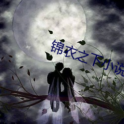 锦衣之下小说 （进退失踞）