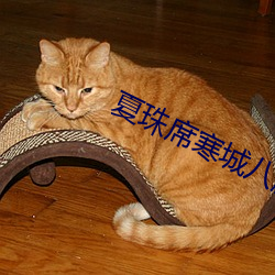 夏珠席(席)寒(寒)城八胎萌宝