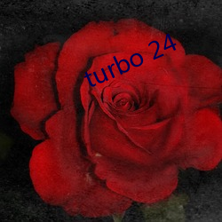 turbo 24 （铸造）