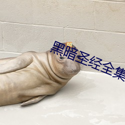 黑暗聖經全集