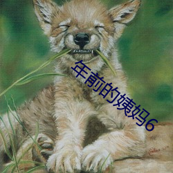 年前的姨妈6