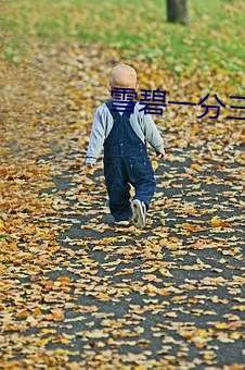 雪碧一分三直播 （起始）