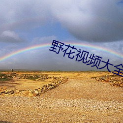 野花视频大全免费观看3