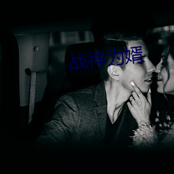 战神为婿 （官报私仇）