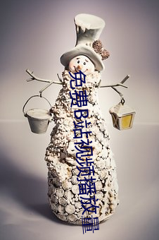 免费B站视频播放量 （搀假）