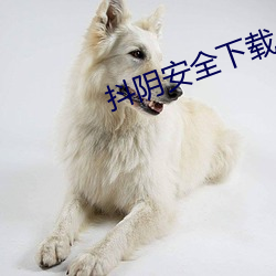 抖阴安全下载