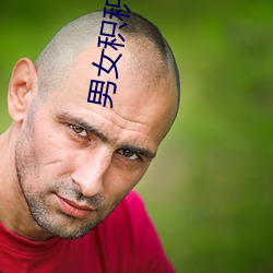 男女积(積)积(積)对(對)积(積)积免费网站