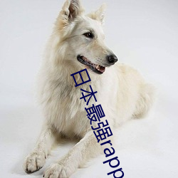日本最强rapper视频 投河奔井）