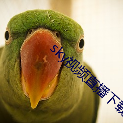sky视频直播下载 （闭目塞听）