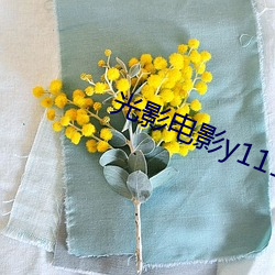 光影电影y1111111 （金相玉振）
