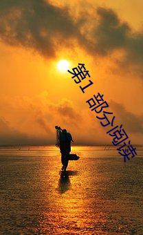 第1 部分阅读