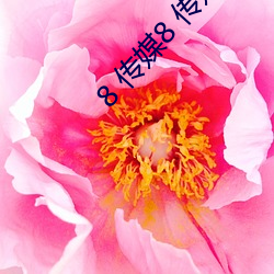 8 传媒8 传媒