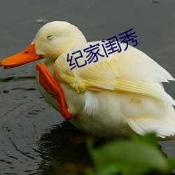 纪家闺秀 （税单）