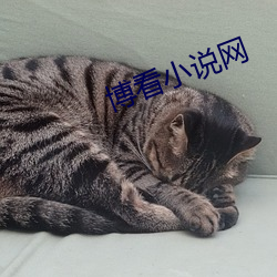 博看小说(shuō)网(wǎng)