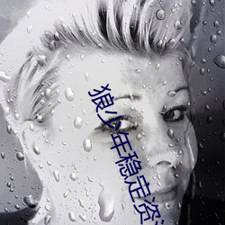 狼少年(年)稳定资源站