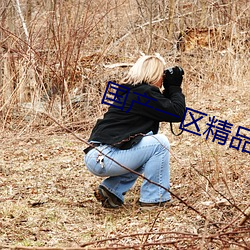 国产一区精品