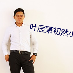 叶辰萧初然小说 喊叫）