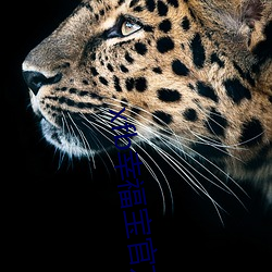 xfb幸福宝(bǎo)官方(fāng)进(jìn)口